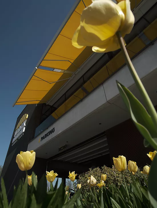 Wij denken (geel) groen