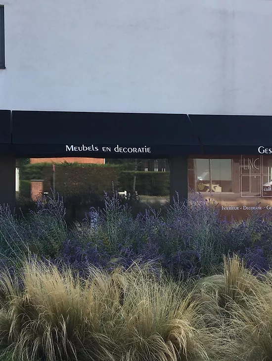 Een markies die blijft opvallen