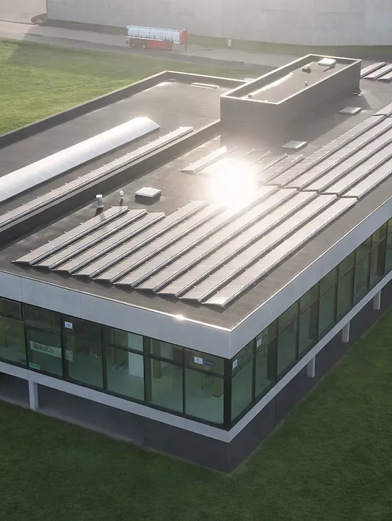 Wij denken (geel) groen