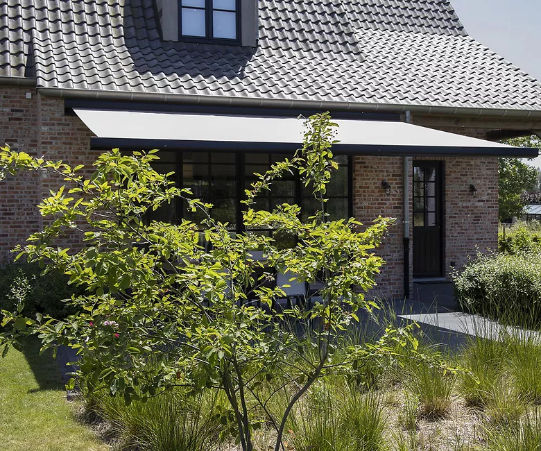 zonder parasol