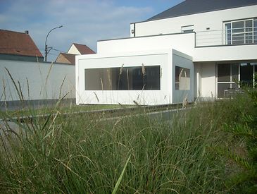Camargue 